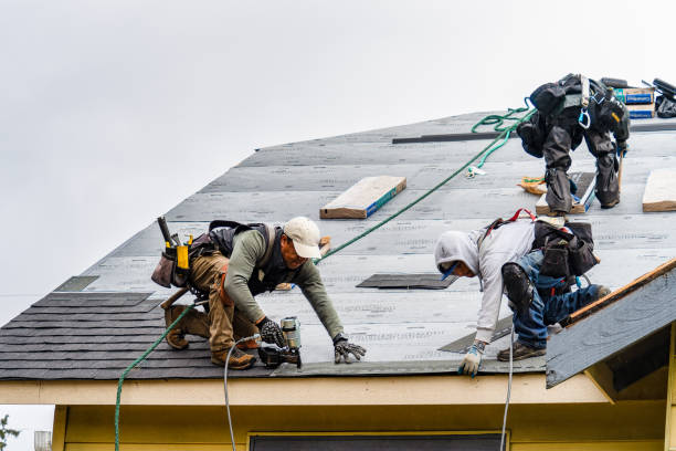 Professional Storm Damage Roof Repair technician working in Corrigan, TX